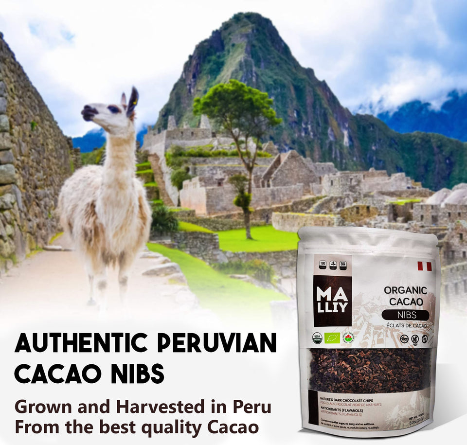 Organic Cacao Nibs  – 227g Bag