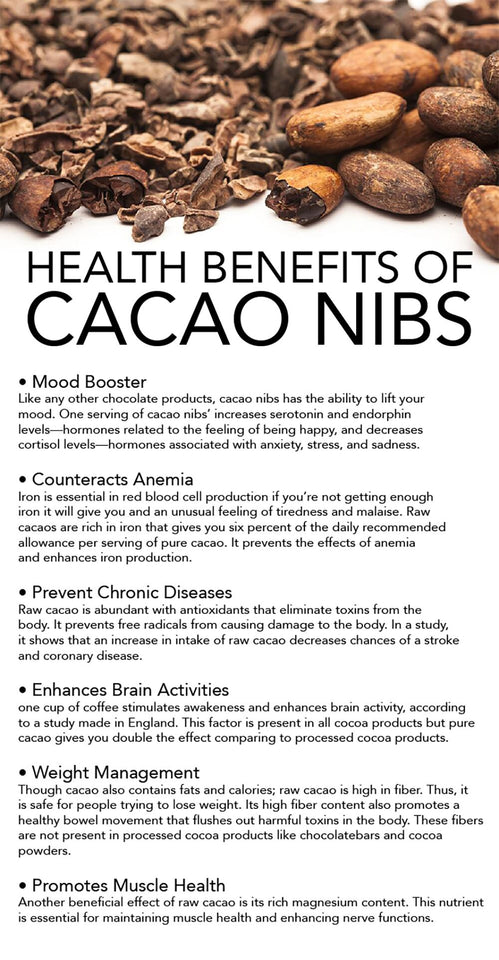 Organic Cacao Nibs  – 227g Bag