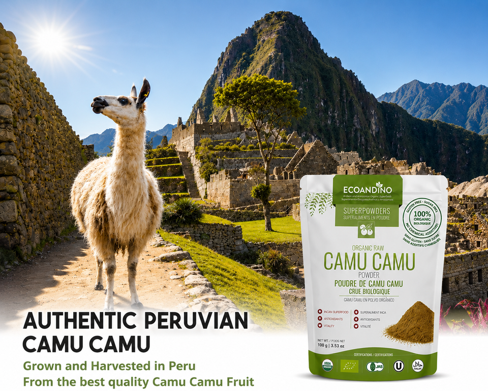Organic Camu Camu Powder -  100g (3.53 oz) Bag
