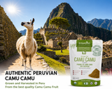 Organic Camu Camu Powder -  100g (3.53 oz) Bag