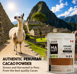 Organic Cacao Powder – 227g Bag