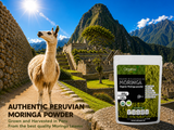 Organic Moringa Powder - 200g Bag