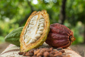 Organic Cacao Powder  – 227g Bag