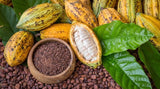 Organic Cacao Nibs with coconut sugar  – 227g Bag
